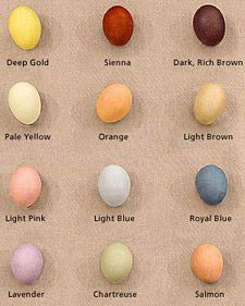 natural dye eggs