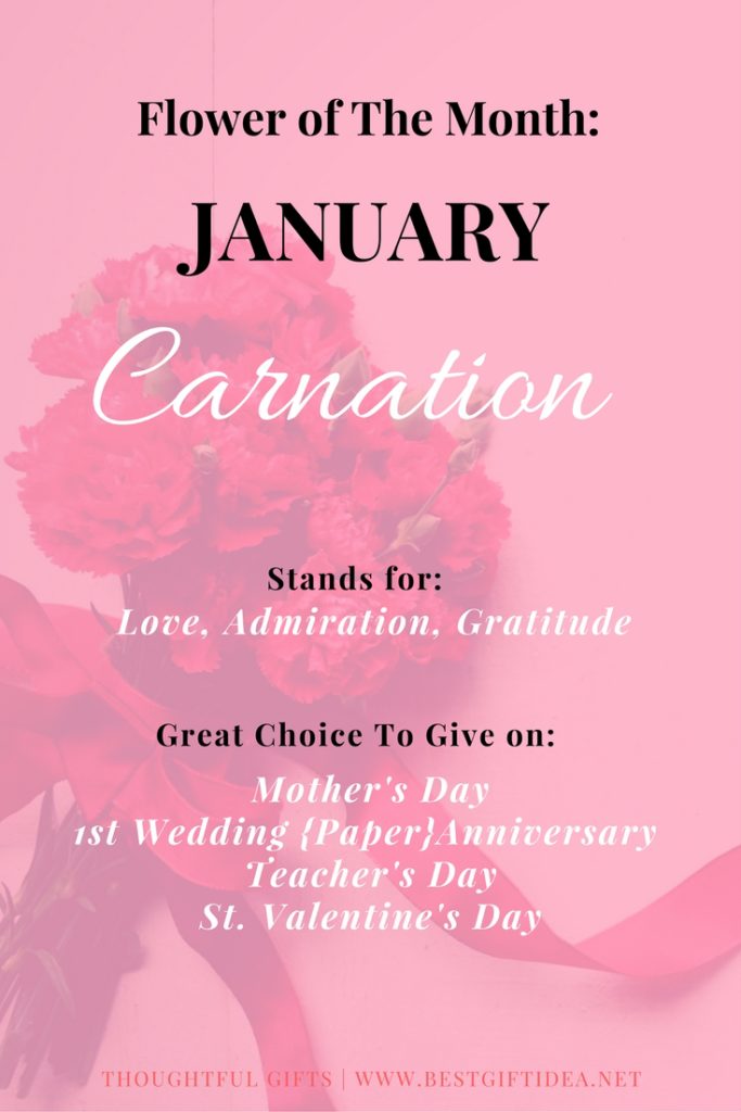 carnation flower meaning