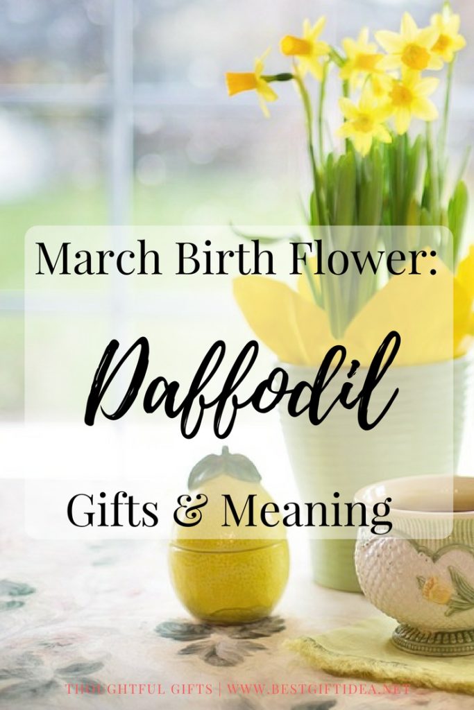 daffodil march birth flower