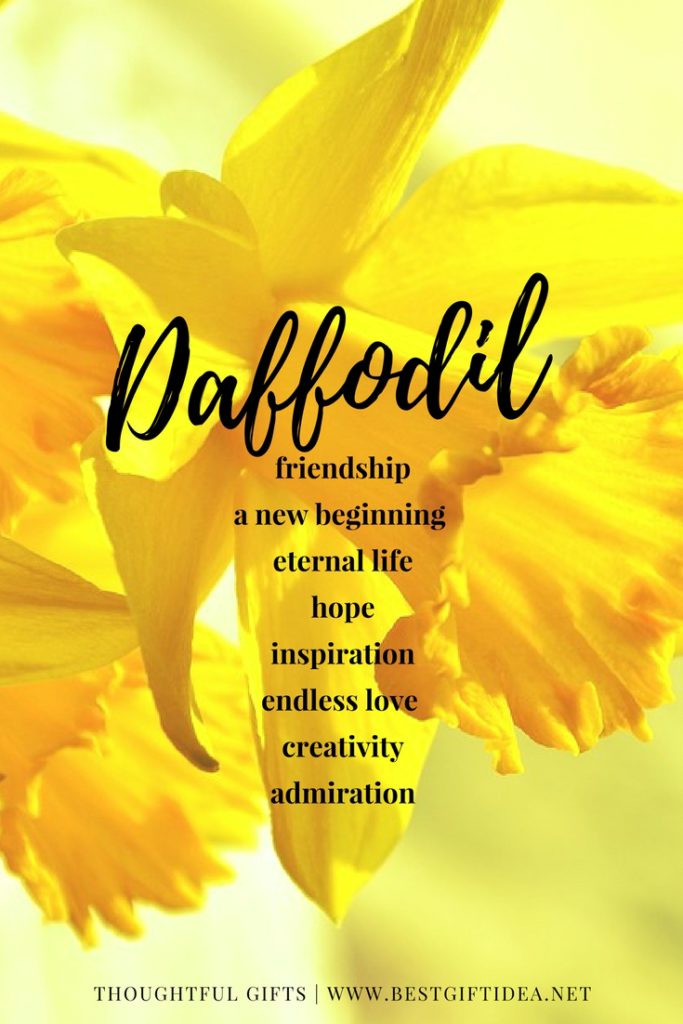 daffodil symbolic meaning