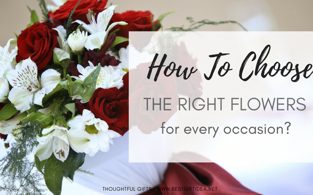 how to choose the right flowers for every occasion learning the secret flowers language