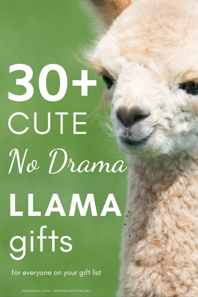 no drama llama stuffed animal