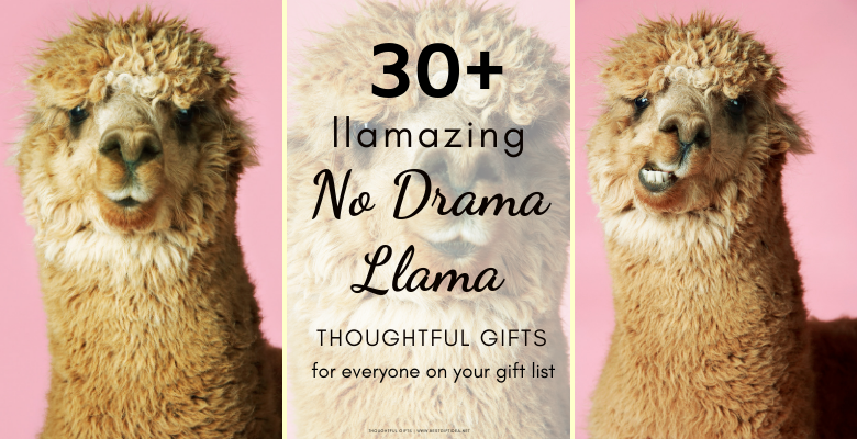 No drama llama outlet backpack